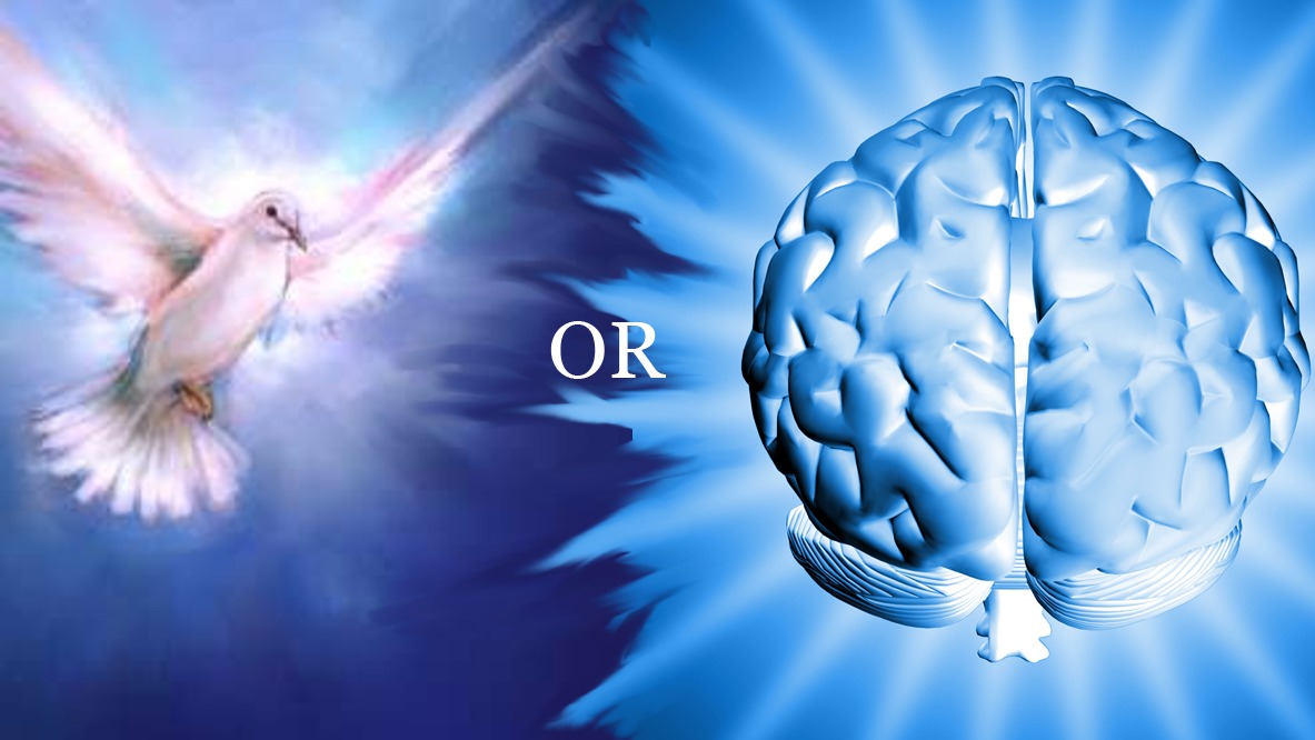 Mind or Spirit